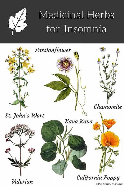 Φυτοθεραπευτικά φυτά για την αϋπνία