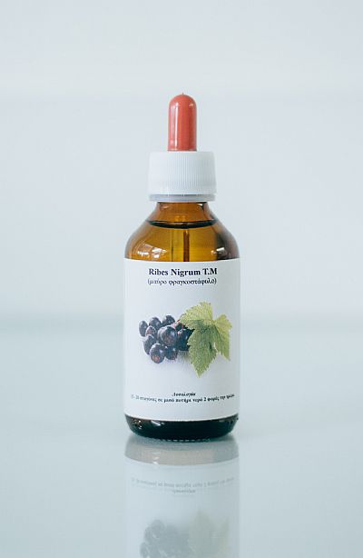 Μαύρο Φραγκοστάφυλο η Ribes Nigrum T.M